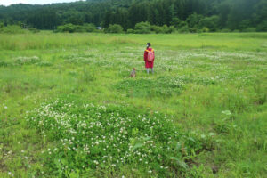 Read more about the article 【シュタイナー教育】（2026開講）説明会のお知らせ